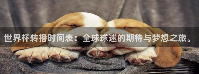 世界杯在线直播入口：世界杯转播时间表：全球球迷的期待与梦想之旅。