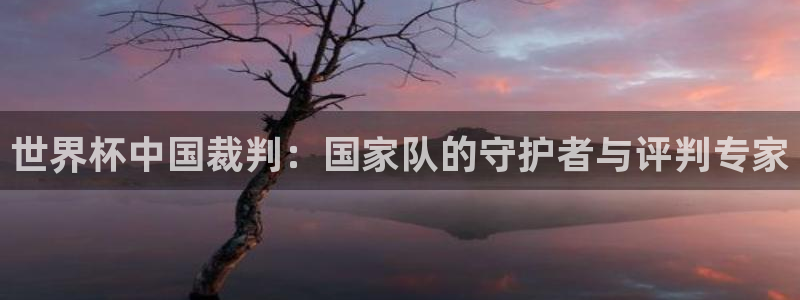 世界杯决赛圈球队：世界杯中国裁判：国家队的守护者与评判专家