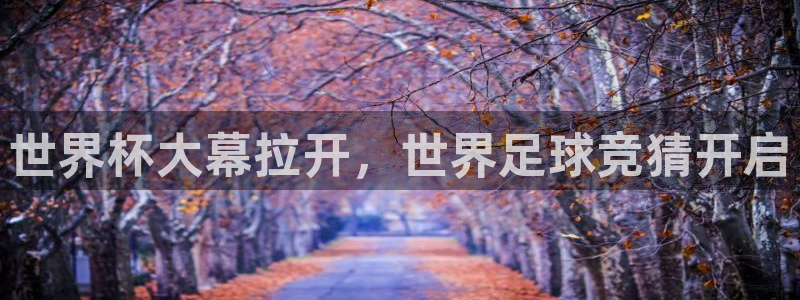 世界杯足球赛2026：世界杯大幕拉开，世界足球竞猜开启