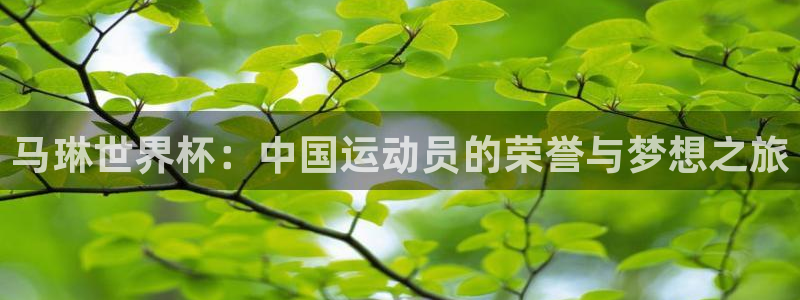 欧联杯直播：马琳世界杯：中国运动员的荣誉与梦想之旅