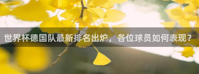 世界杯欧洲区预选赛：世界杯德国队最新排名出炉，各位球员如何表现？