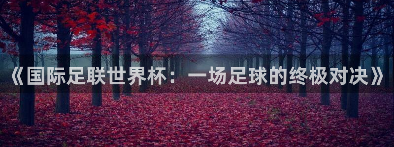 2026男足世界杯赛程：《国际足联世界杯：一场足球的终极对决》