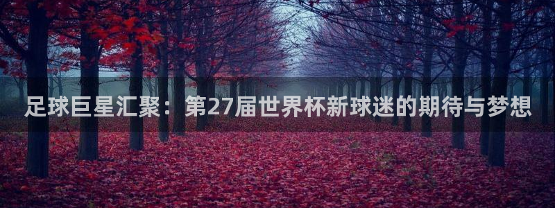 2026世界杯南美区积分榜：足球巨星汇聚：第27届世界杯新球迷的期待与梦想