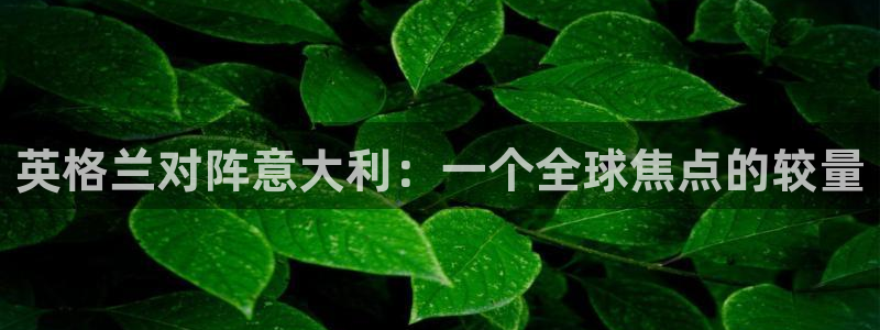 2026年男足世界杯：英格兰对阵意大利：一个全球焦点的较量