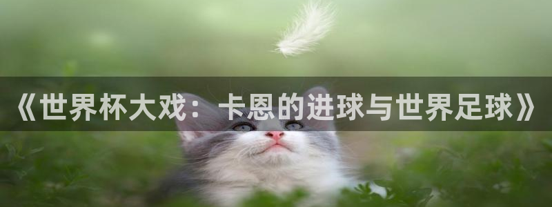 世界杯决赛预测：《世界杯大戏：卡恩的进球与世界足球》