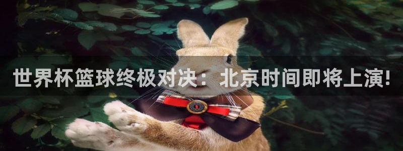 2026世界杯赛程时间表最新：世界杯篮球终极对决：北京时间即将上演!