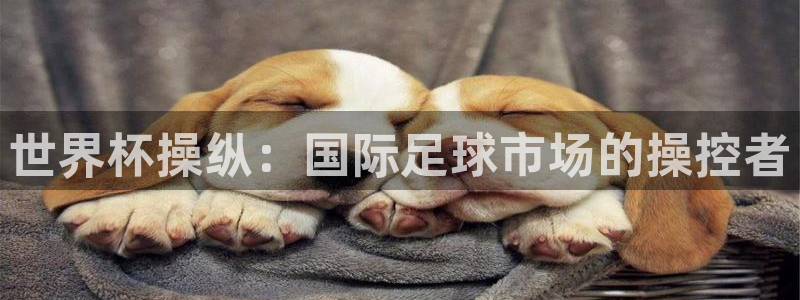 女足世界杯直播在线观看免费高清：世界杯操纵：国际足球市场的操控者